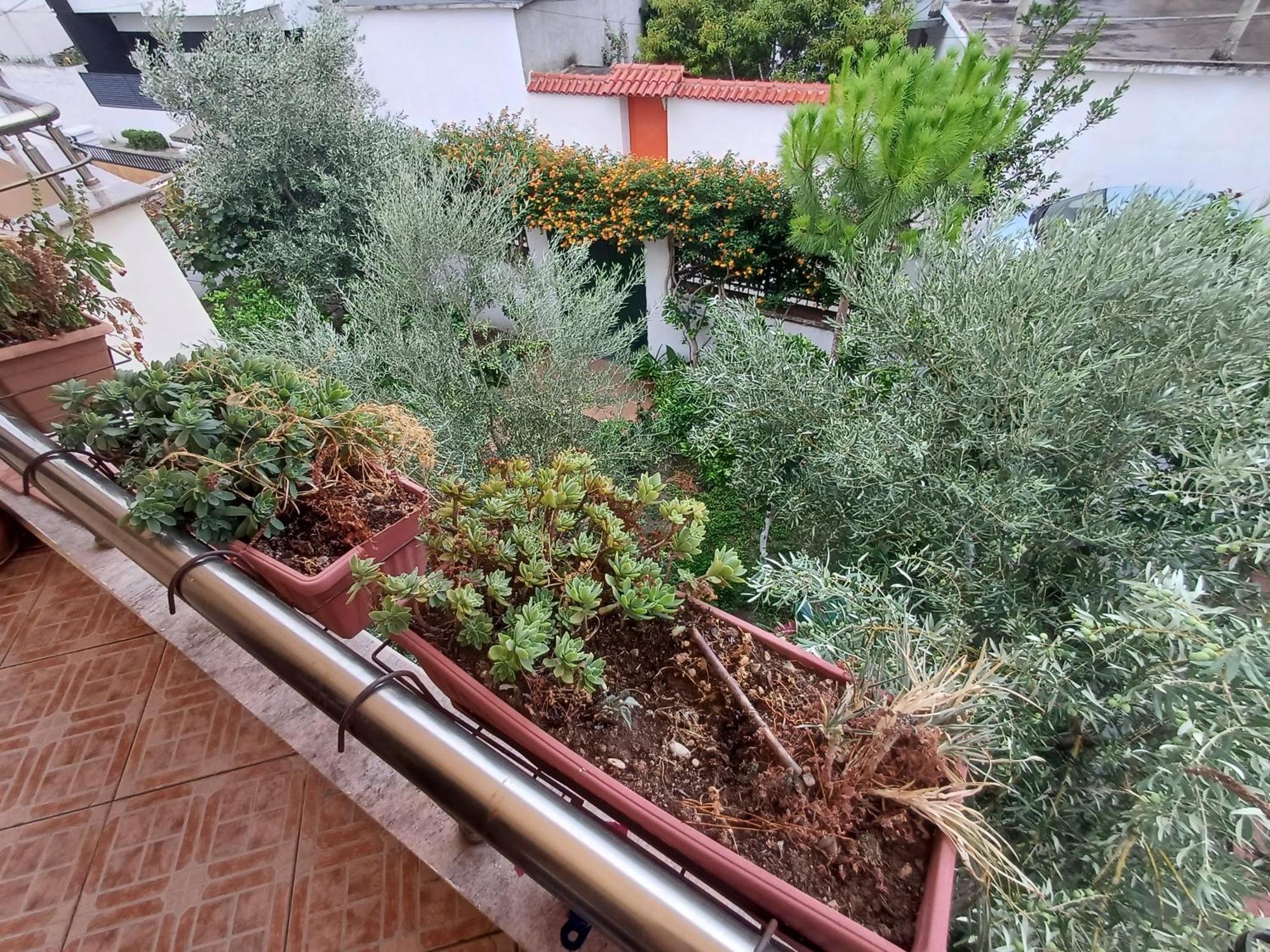 Ademaj Casa de Férias